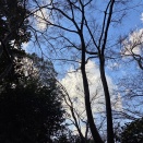 フランチャイズの賞味期限(寿命)は短くなる一方と大巨匠の竹村先生が断言