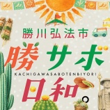 『3/21(土)に勝川弘法市『勝サボ日和』が開催。サボテンフェアにマルシェ、グルメ、大道芸も！』の画像