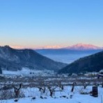 金井果樹園　生産者ブログ