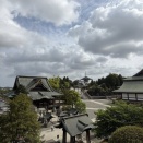 【成田山公園】お散歩