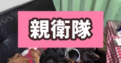 ちゃんと混ざってます。
