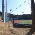 神奈川大学野球場
