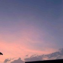【４毒について】先日の続き。体の変化。