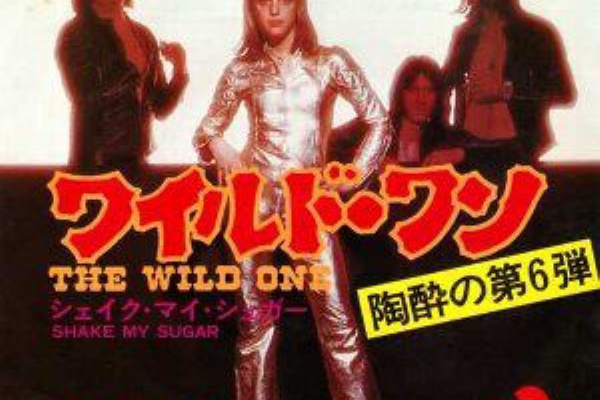 The Wild One ワイルド ワン Suzi Quatro スージー クアトロ 1974 洋楽和訳 Neverending Music