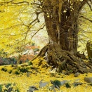 岩殿山正法寺の大イチョウと物見山、平和資料館