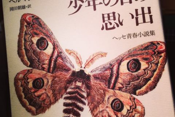 少年の日の思い出 思考拠点 Shiko Kyoten