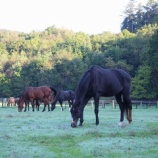『快適気温』の画像