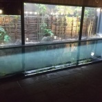 ROBERTのblog