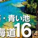 北海道16　美瑛「青い池」2025年最後の絶景！四季の色と幻想的光景を空撮　#青い池 #美瑛 #北海道 #絶景 #ドローン #自然 #旅行 #観光 #空撮 #四季