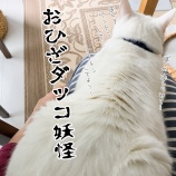 また心当たりしかない内出血がありました