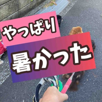 涼しいと思って行ったのだが