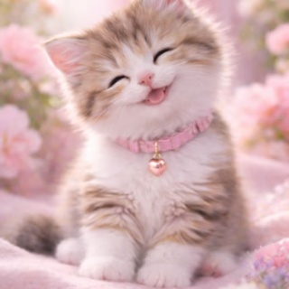 TBN　-Today's Best News-