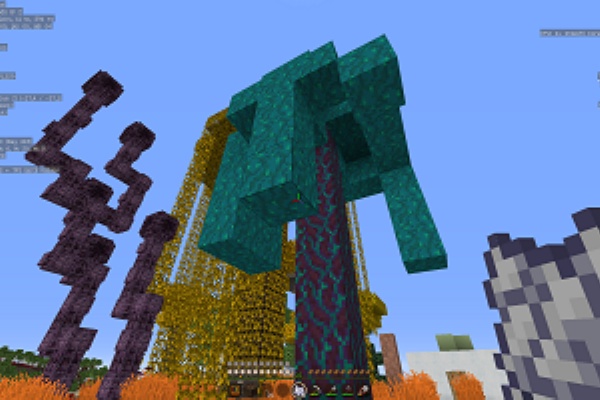 近所 カメとネコとのお付き合い ボケっとマイクラ 近所 カメとネコとのお付き合い ボケっとマイクラ