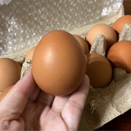 甘みと旨みがギュっとつまったアイ杉原の特大たまご！