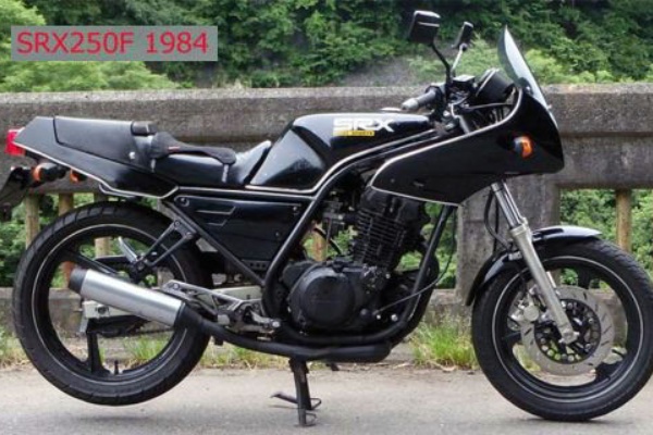 バチモン隠居 よろず探訪