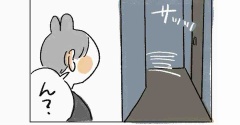 小動物