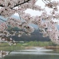ご案内【379th　遺物の実態把握／その方法と展開】　6/28　近江貝塚研　6月例会