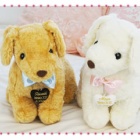 犬のビズー は大人気！！