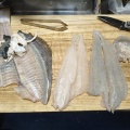 なんか魚釣れたんやが?
