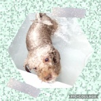 日々、ＪＡＭにあり