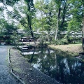 静岡県三島市に行ってきました