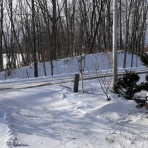 馬とニャンコと男と女