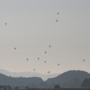 １１月１６日の情報