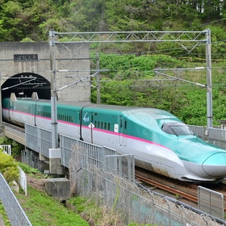 しない・させない・させられない