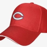 『去年と大差なし　広島東洋カープ』の画像