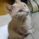 お休み