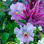 ガーデン用品にステンシル＆レディー