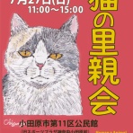 Human＆Animal Network   365日 里親募集中！