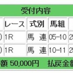 ローリスクのころがし競馬予想ブログ：コロガシ競馬