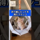 こんなブランコはいかがでしょうか？😸