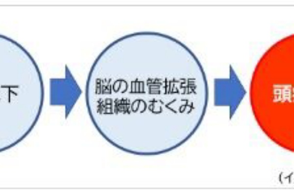 きゃばりこさんのーとぶっく 五苓散 利水剤