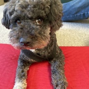 �����꤬����/ �����ޤ���