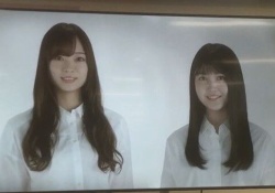 【乃木坂46】乃木ヲタ、免許更新で可愛いコに出会うｗｗｗｗｗ