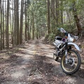 和知・綾部林道ツーリング
