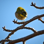 tamsan'sリストア2