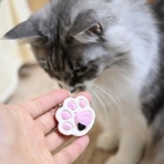 猫とふたり暮らし～evaとaiaiの日常～