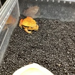 浜松市　東区　ペットショップ　ワンラブ浜松本店ブログ