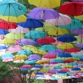 2025城町アンブレラスカイを撮ってきました☂️📸（館林市）