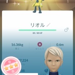 徒歩のポケモンまとめブログ
