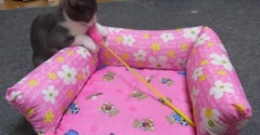 猫の記憶力に感激しました～♪