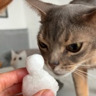 猫だるまちゃんとニャンコ