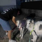 .•*.•*beny beny*•.*•.