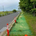 視線誘導票の赤