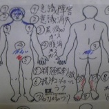 08/28 SAT 꿩ȤǤι󤤷餻ʾڵʬ梪ͽˡ٤β
