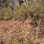 岩殿満喫クラブ　岩殿 Day by Day