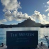 【ウェスティンボラボラ】チェックアウトしてボラボラ空港へ！【タヒチ旅行】